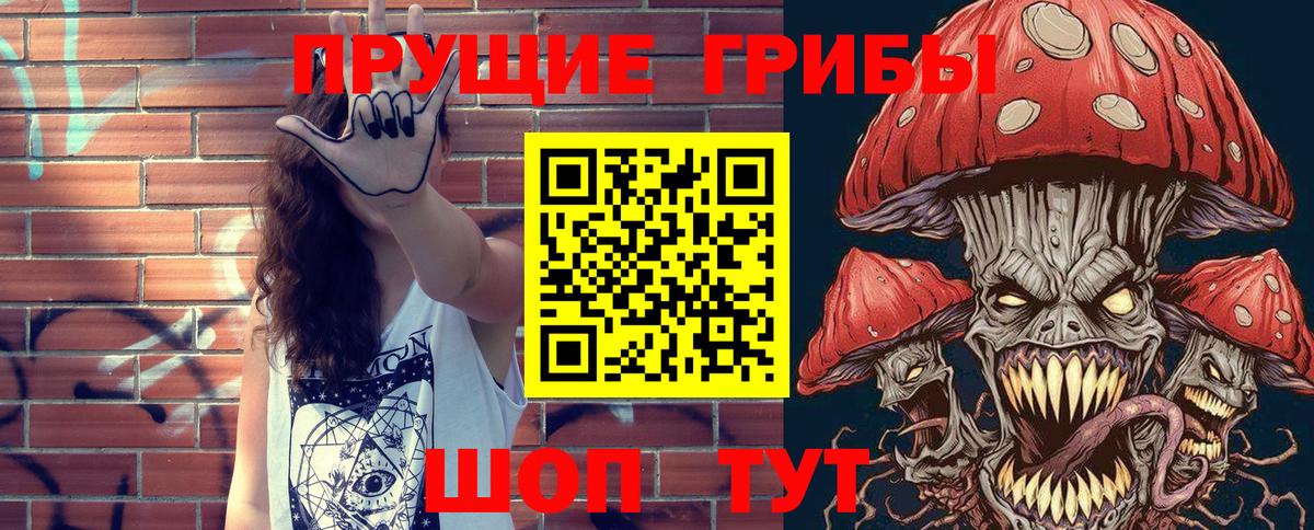 Прокопьевск  Псилоцибиновые грибы Psilocybe  Вход с VPN  Псилоцибиновые грибы GOLDEN TEACHER 