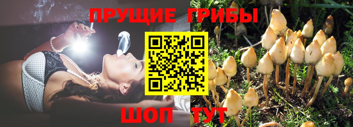 Галлюциногенные грибы мухоморы Прокопьевск